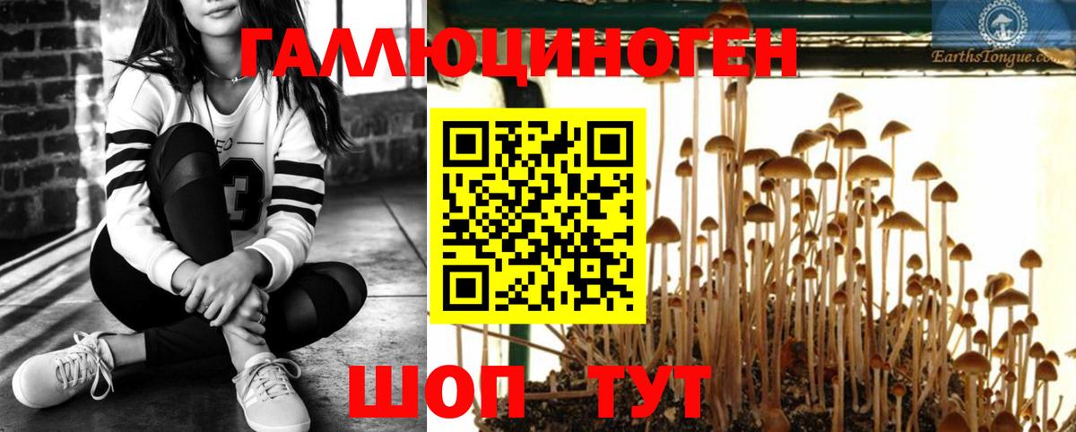 Минеральные Воды  Псилоцибиновые грибы прущие грибы  Вход с VPN 